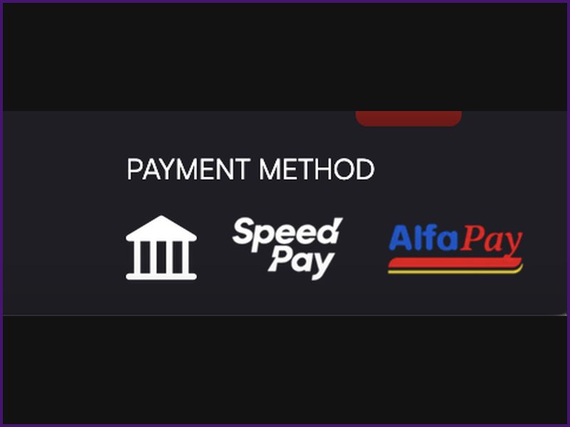 The Auto Bet Feature in Crash