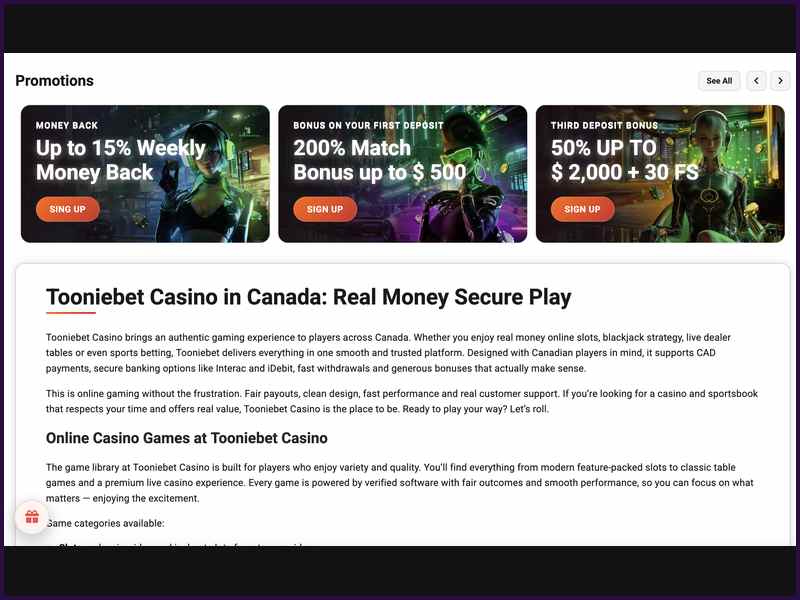 The ToonieBet platform for crash games